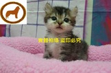 點選圖片可放大