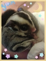 點選圖片可放大