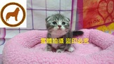 點選圖片可放大