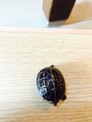點選圖片可放大