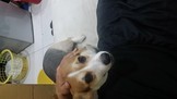 點選圖片可放大