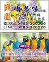 點選圖片可放大