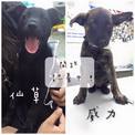 點選圖片可放大