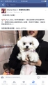 點選圖片可放大
