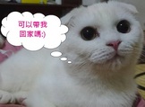 點選圖片可放大