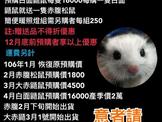點選圖片可放大