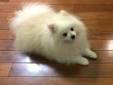 點選圖片可放大