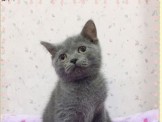 點選圖片可放大