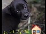 點選圖片可放大