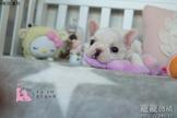 點選圖片可放大