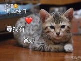 點選圖片可放大