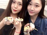 點選圖片可放大