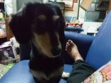 點選圖片可放大