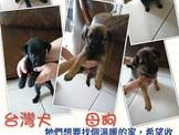點選圖片可放大