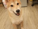點選圖片可放大