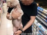 點選圖片可放大