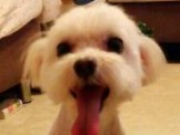 點選圖片可放大