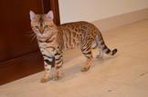 點選圖片可放大