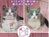 點選圖片可放大