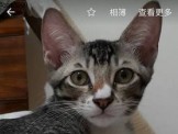 點選圖片可放大