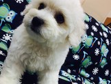 點選圖片可放大