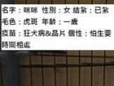 點選圖片可放大