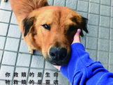 點選圖片可放大