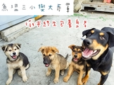 點選圖片可放大