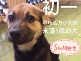 點選圖片可放大