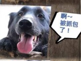 點選圖片可放大