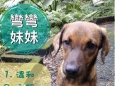 點選圖片可放大