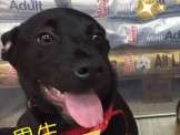 點選圖片可放大