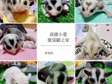 點選圖片可放大