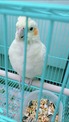 點選圖片可放大