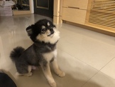 點選圖片可放大