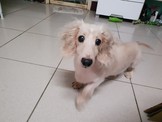 點選圖片可放大