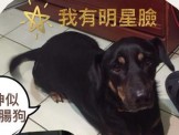 點選圖片可放大
