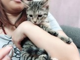 點選圖片可放大