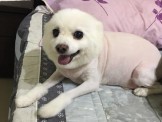 點選圖片可放大