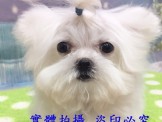 點選圖片可放大