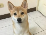 點選圖片可放大