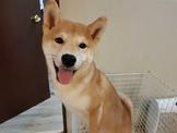 點選圖片可放大