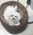 點選圖片可放大