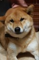 點選圖片可放大
