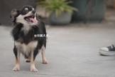 點選圖片可放大