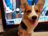 點選圖片可放大