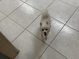點選圖片可放大