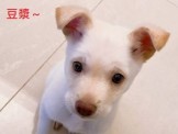 點選圖片可放大