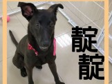 點選圖片可放大