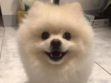 點選圖片可放大